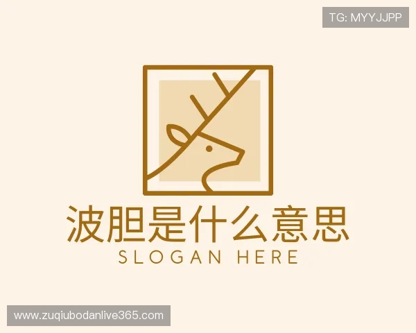 发现波胆教学